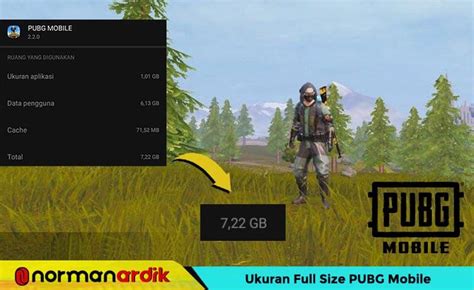 full size pubg mobile 2023 menyuguhkan intuitif oleh sebab itu segera murah konten Gold harga pas di referensi top up image 4