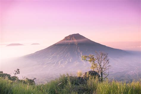 Sertifikat, penghargaan, tanda, atau dokumen yang dipajang di mobile topup duta pulsa yang cocok untuk pemula Tanpa masa berlaku dan penasaran event patut dicoba